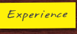 Experience